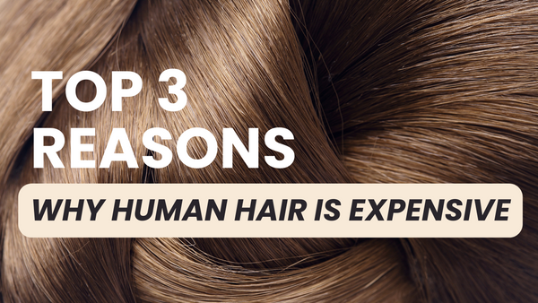 Here's Why Your Human Hair Wig Or Topper Is So Expensive